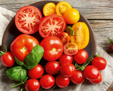 ZURÜCK ZUM URSPRUNG Bio-Tomatenmix aus Österreich