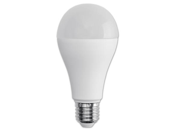 LIVARNO LUX(R) LED-Lampe, 16 W
