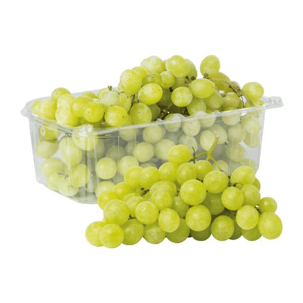 Witte pitloze druiven
