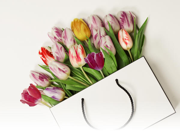 Tulipes (uniquement en Suisse romande et alémanique)