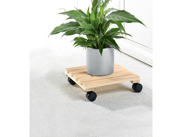 Plant Roller