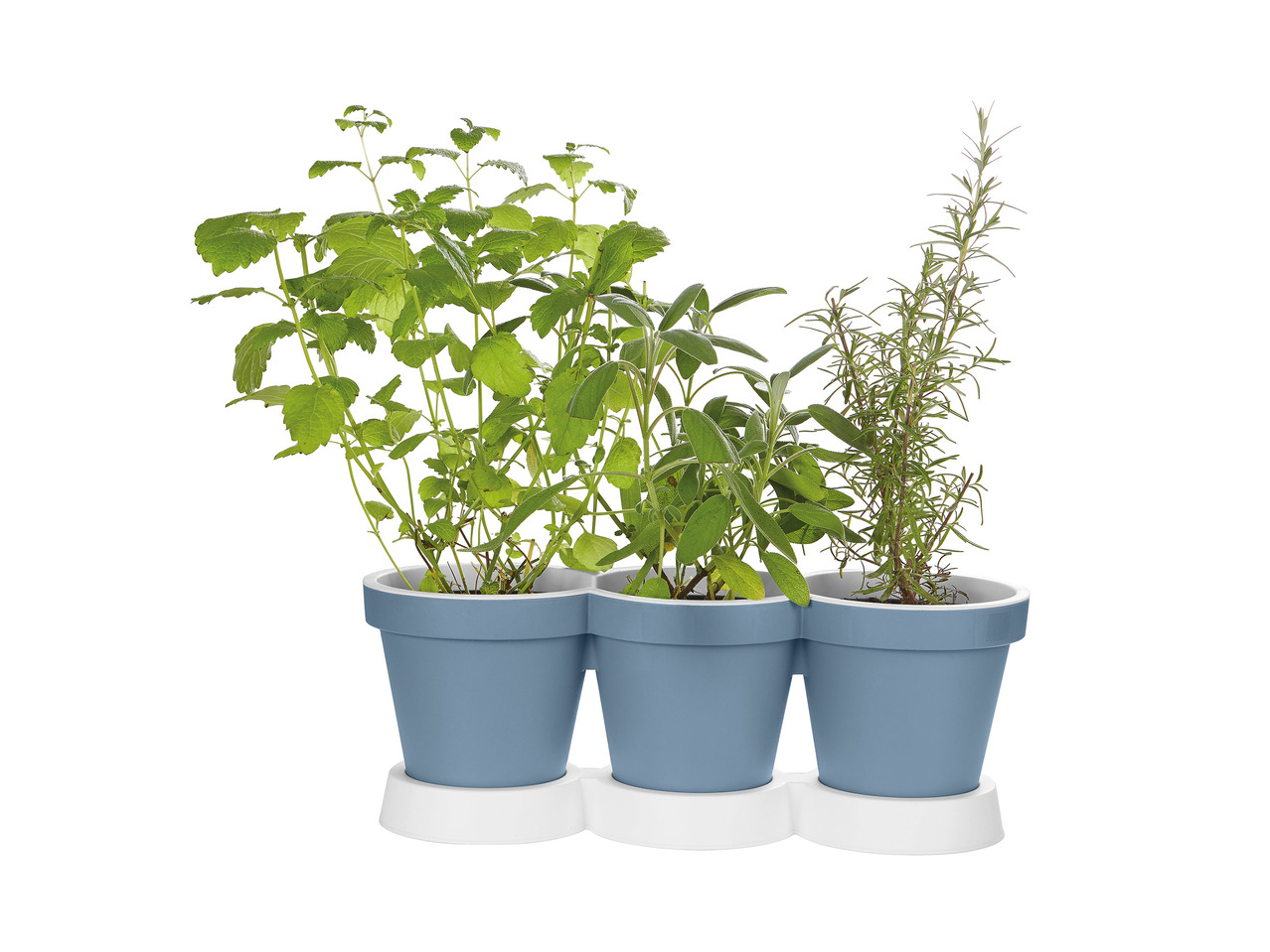 Florabest 3-in-1 Herb Pot1