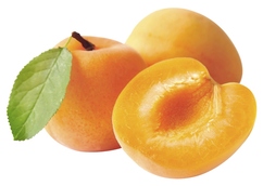 Abricots "Bergeron"