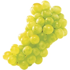 Raisins blancs "Italia"