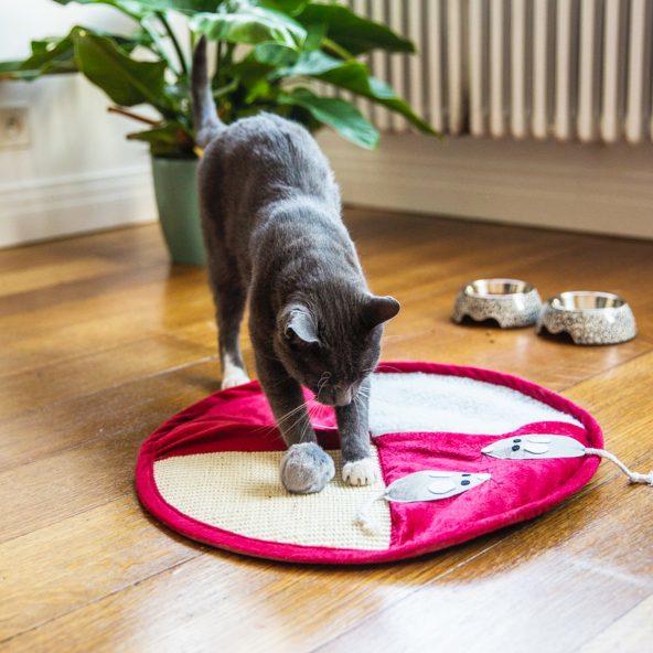 Spiel- und Kratzmatte für Katzen
