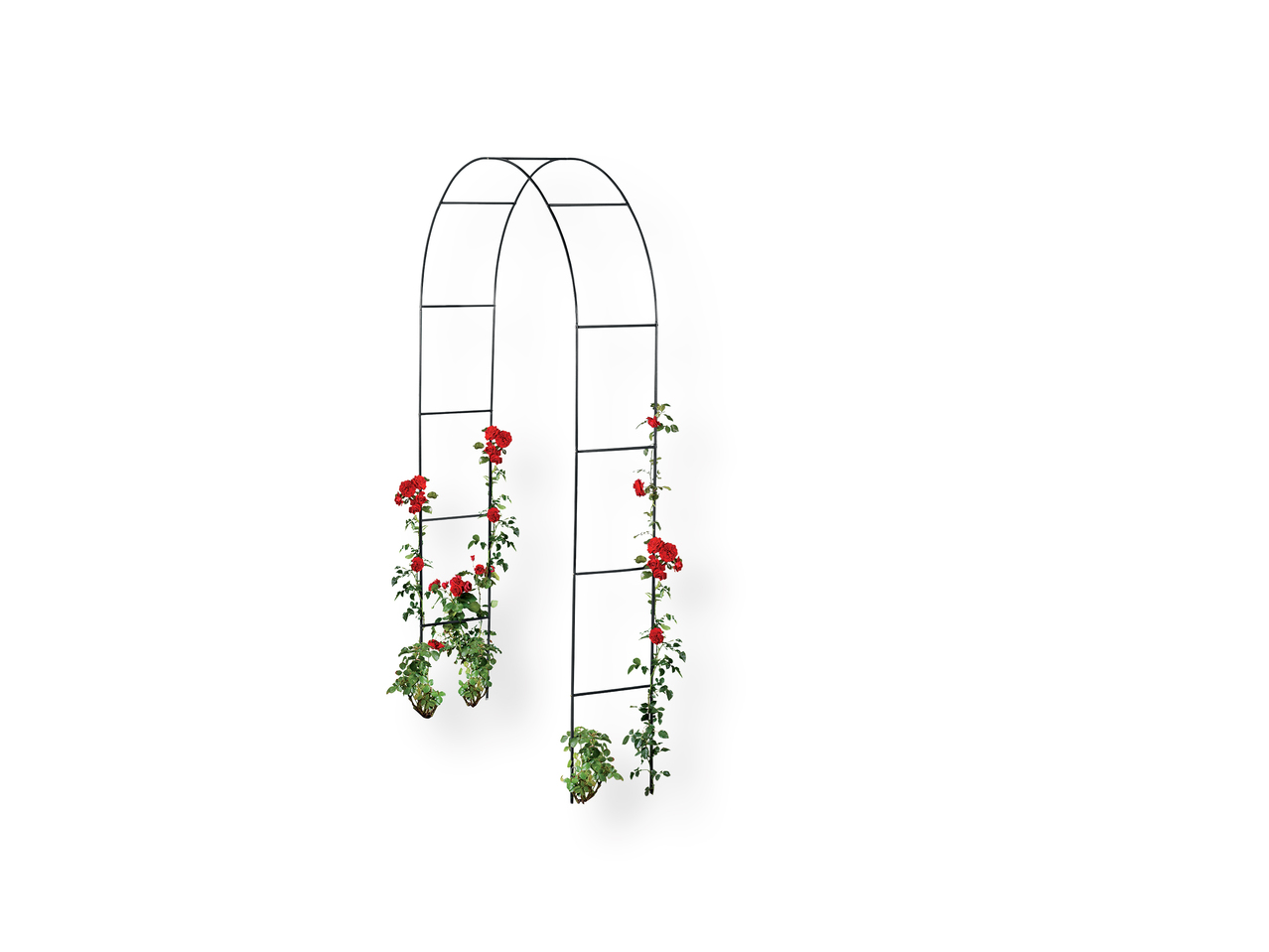 'Florabest(R)' Arco para plantas trepadoras