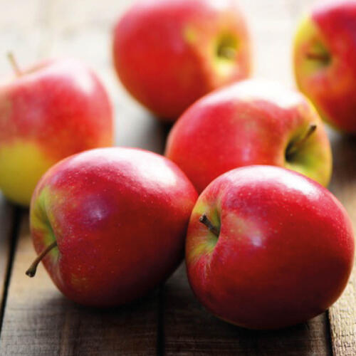 Pommes bicolores "Gala"