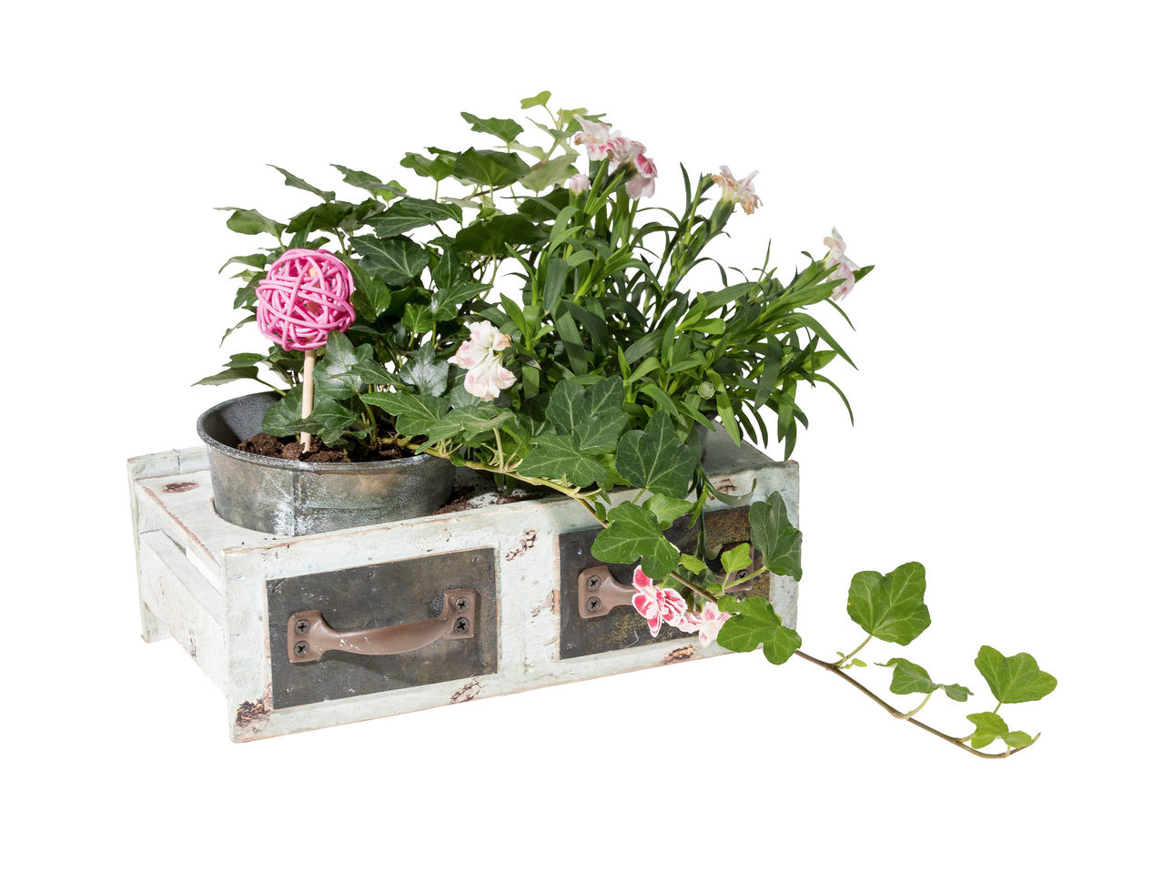 Plante în ghiveci decorativ sertar