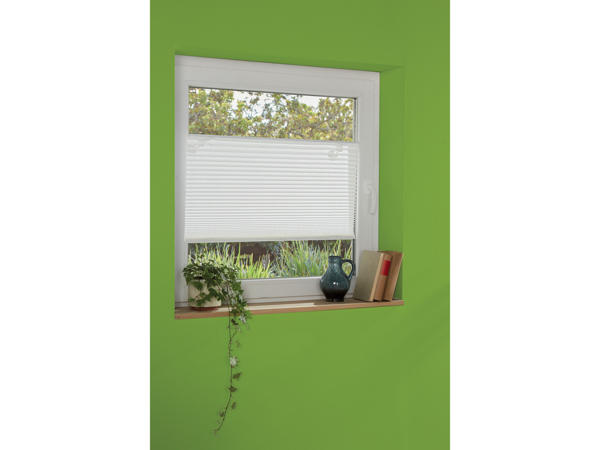 WINDOW BLIND WITH SUCTION CUPS