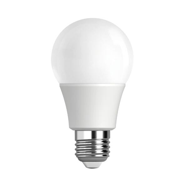LIGHT ZONE(R) 				Ampoule LED 470 lumens