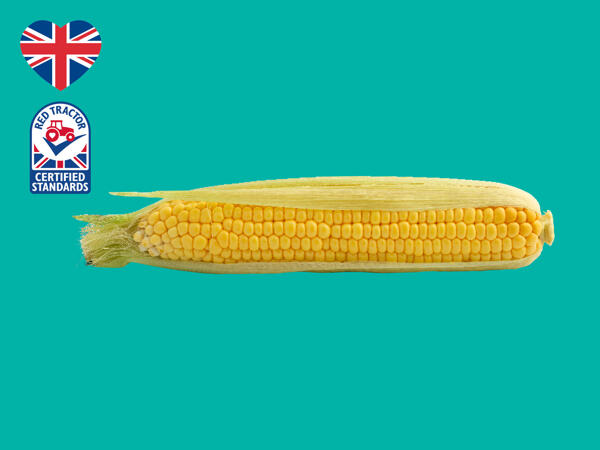 British Corn on the Cob