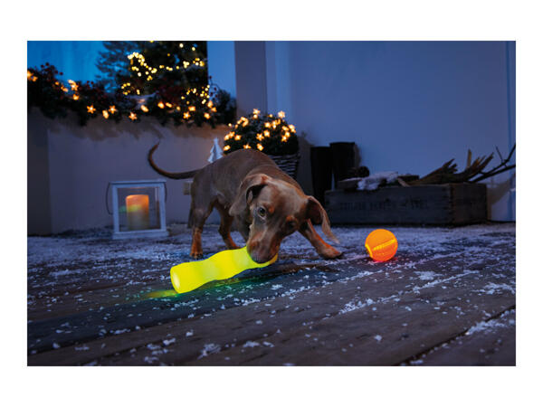 Zoofari Light-Up Dog Toy or Accessory