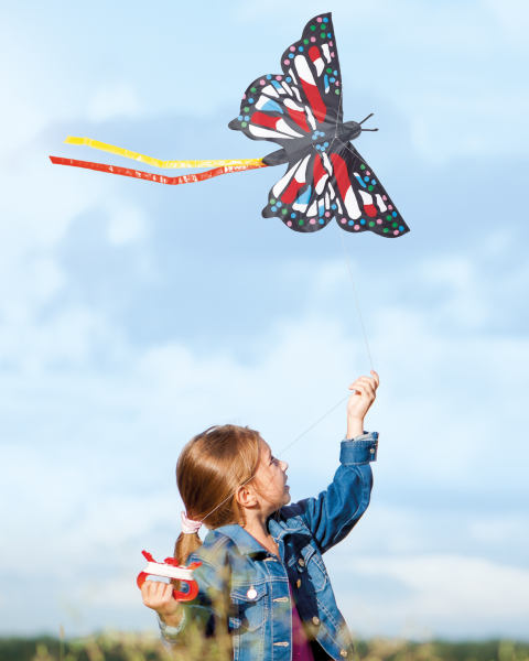 Crane Butterfly Kite