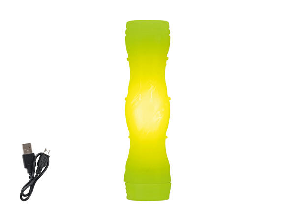 ZOOFARI(R) LED-hundelegetøj