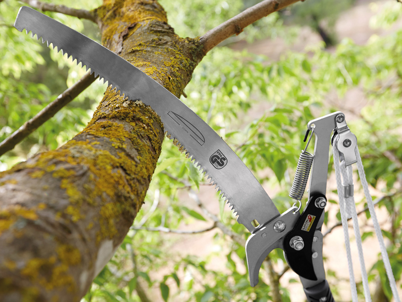 Florabest Extendable Tree Pruner with Saw1
