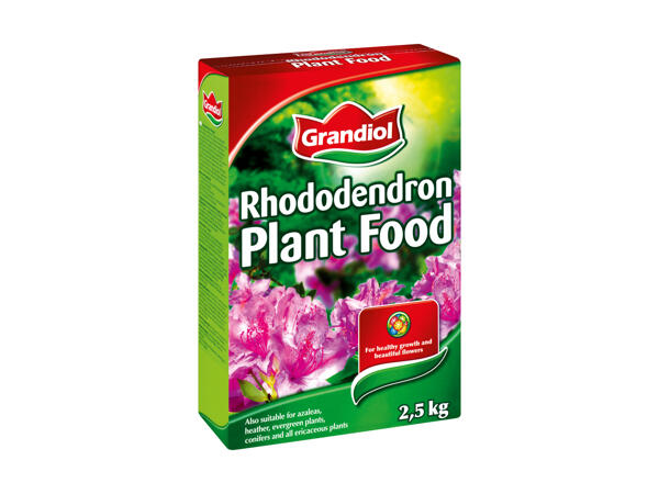Engrais pour rhododendrons