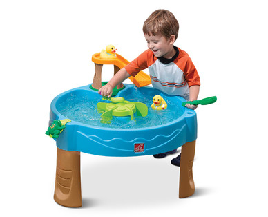 Duck Pond Water Table