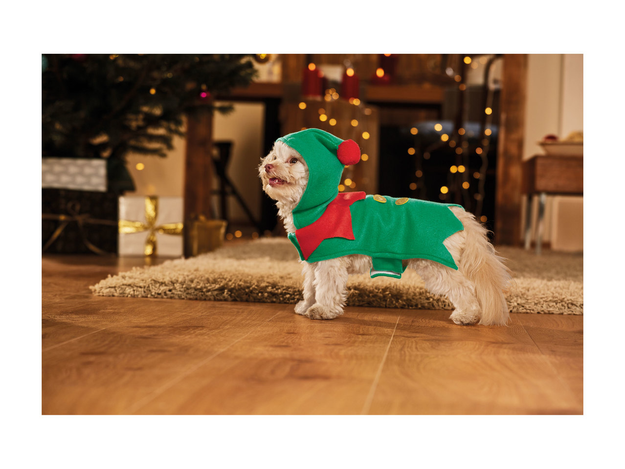Dogs' Christmas Costume1