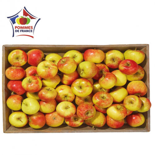 Pommes bicolores Bio "Ecolette"