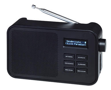 TERRIS audio Tragbares DAB+ Radio