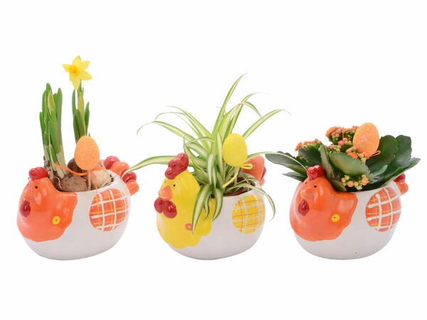Plante în vas decorativ de Paște