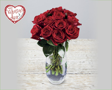 Valentine's Luxury Dozen Roses^