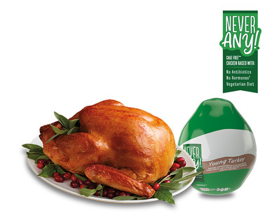 Never Any! Antibiotic Free Whole Turkey