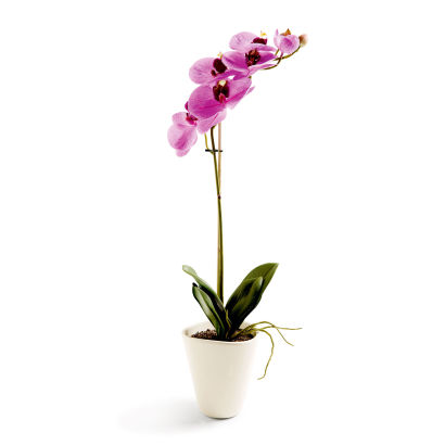 Orchidée en soie