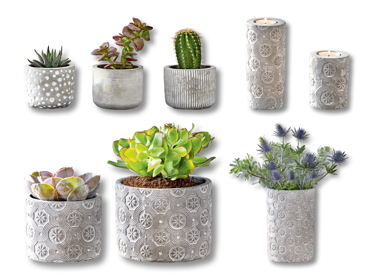Pots de fleurs/ bougeoirs/ vase