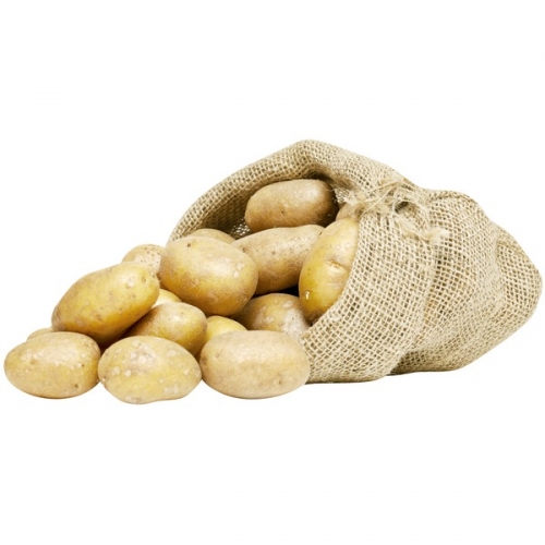 Pommes de terre de consommation "Galante"