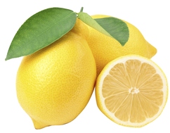 Citrons Bio "Primofiori"