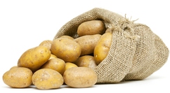 Pommes de terre de consommation