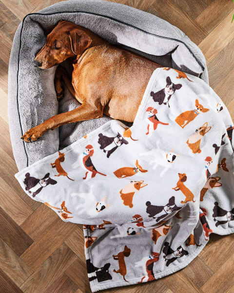 101 Dogs Soft Pet Blanket