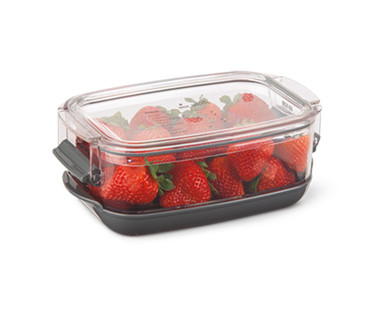 Crofton 2-Pack Berry Keeper or Produce Keeper