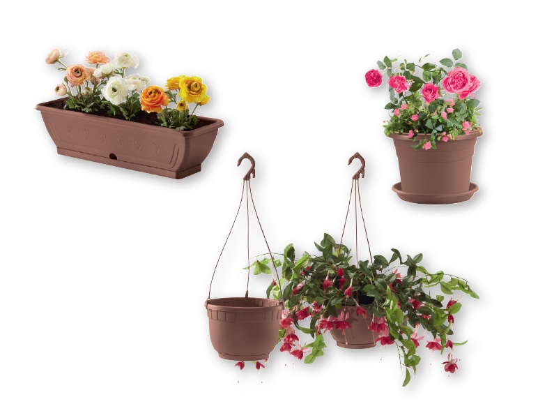 FLORABEST Hanging Baskets/Plant Pot/ Balcony Flower Box