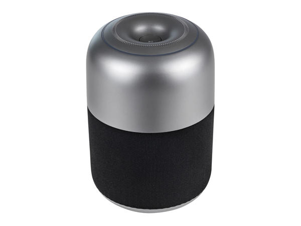 Bluetooth(R) Speaker