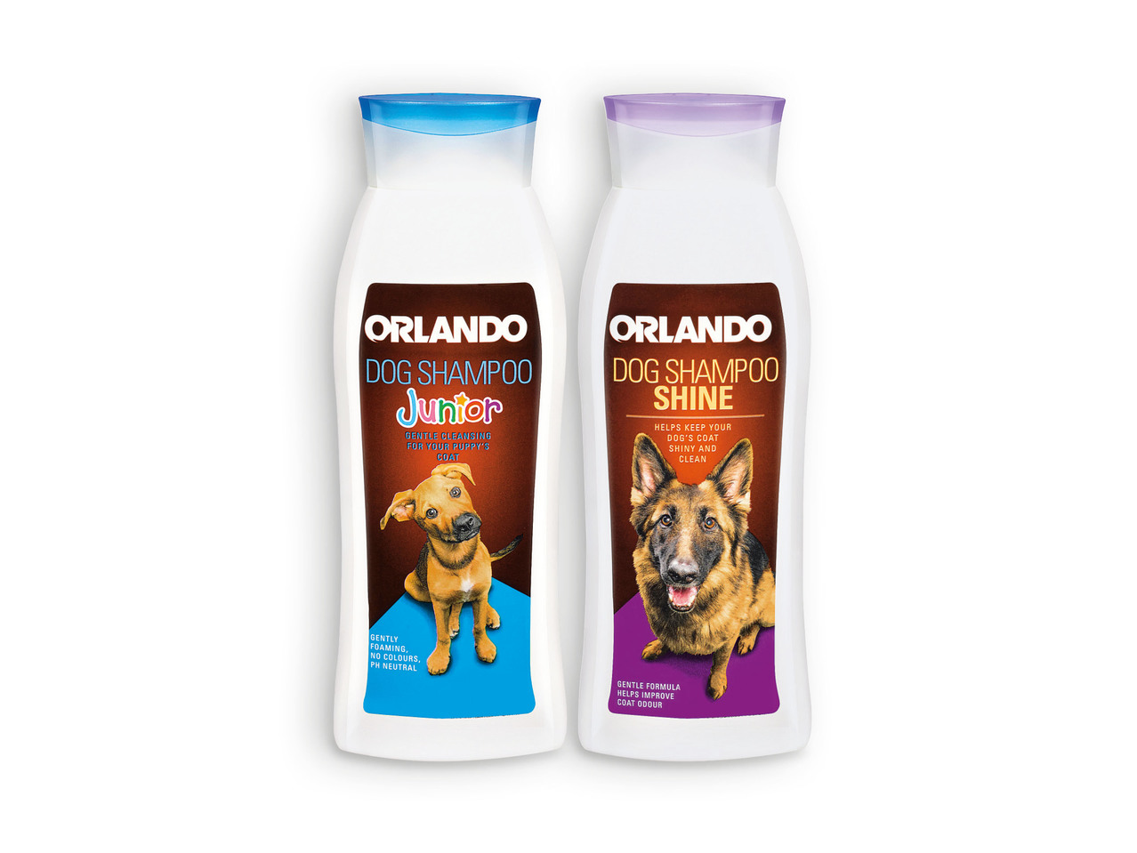 ORLANDO(R) Champô para Cães