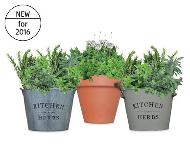 Kitchen Herb Planter