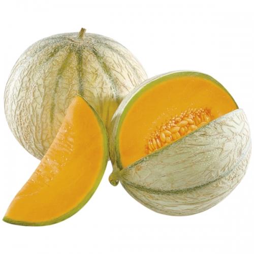 Melon "Charentais"