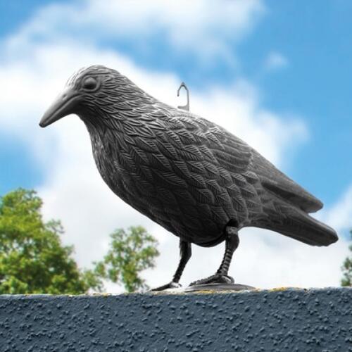 Répulsif pigeon
