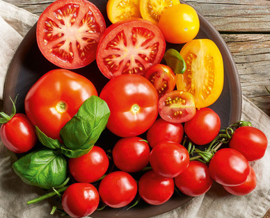 ZURÜCK ZUM URSPRUNG Bio-Tomatenrarität