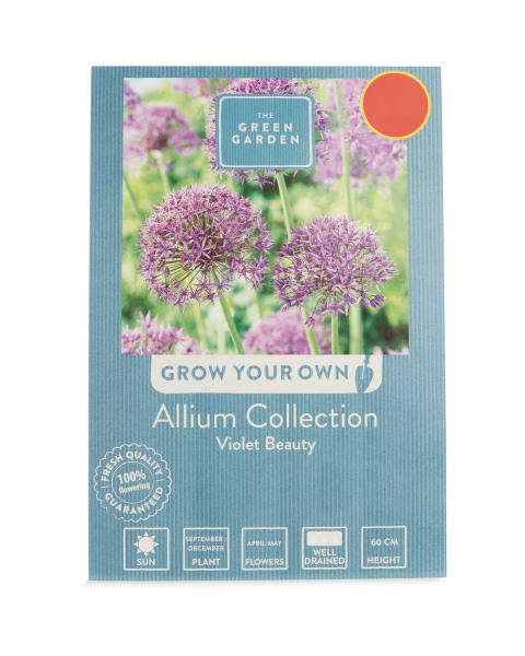 Allium Collection