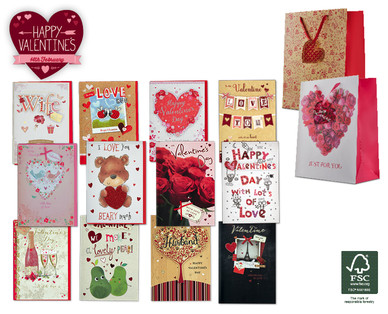 Large Valentine's Day Cards/Gift Bags