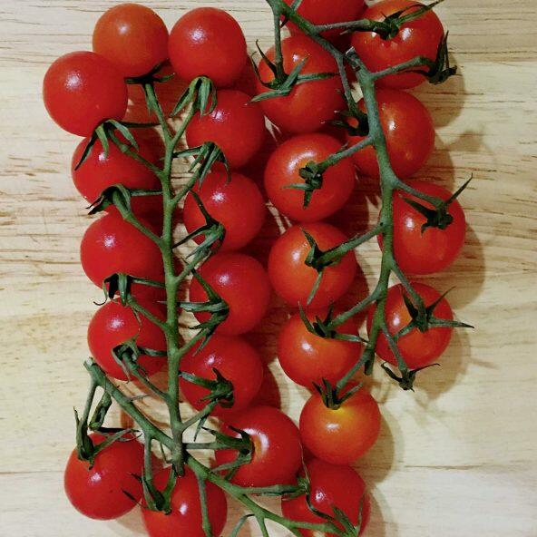 Tomates cocktail grappe