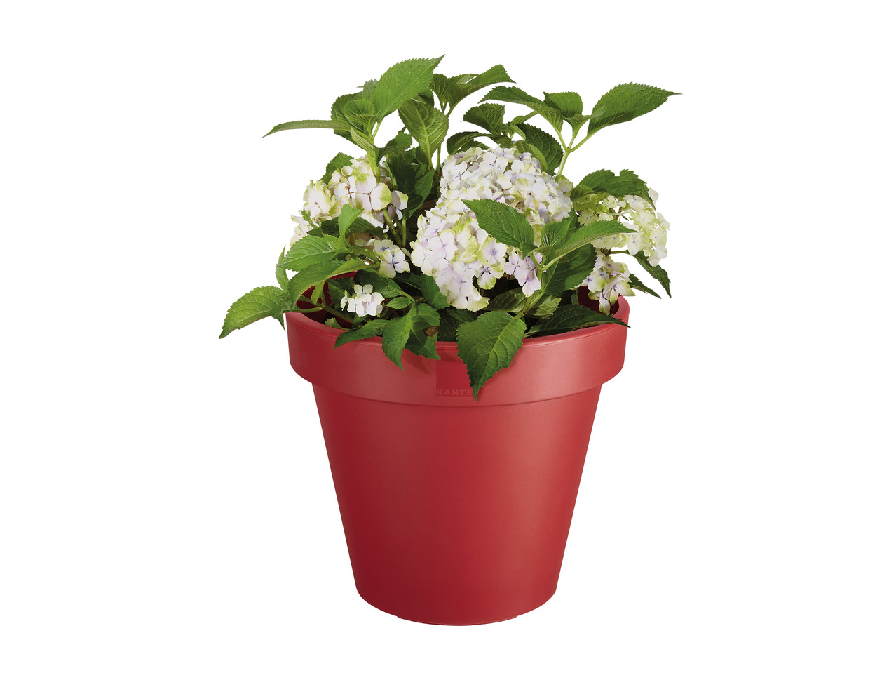Florabest Plant Pots1