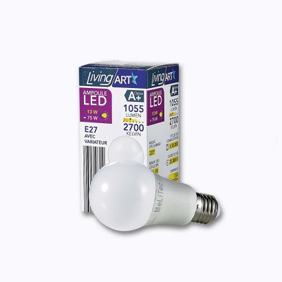 Ampoule LED verre opaque