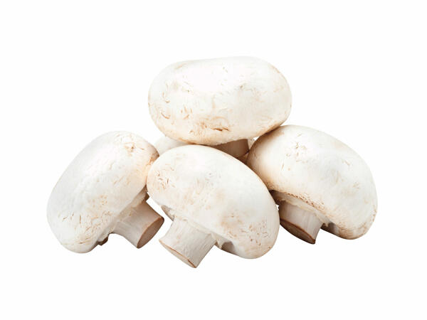 Ciuperci grill Champignon, albe