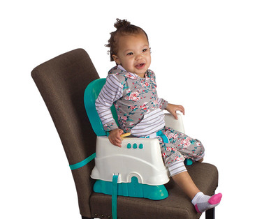 Little Journey Portable Booster Seat