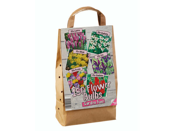 Bulbes à fleurs dans un sac en papier