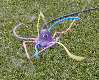 Sprinkler Toys